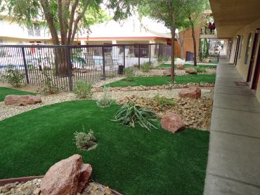 Artificial Grass Photos: Artificial Pet Turf Temple City California Landscape, Lawns